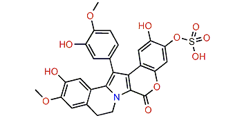 Lamellarin B2 20-sulfate